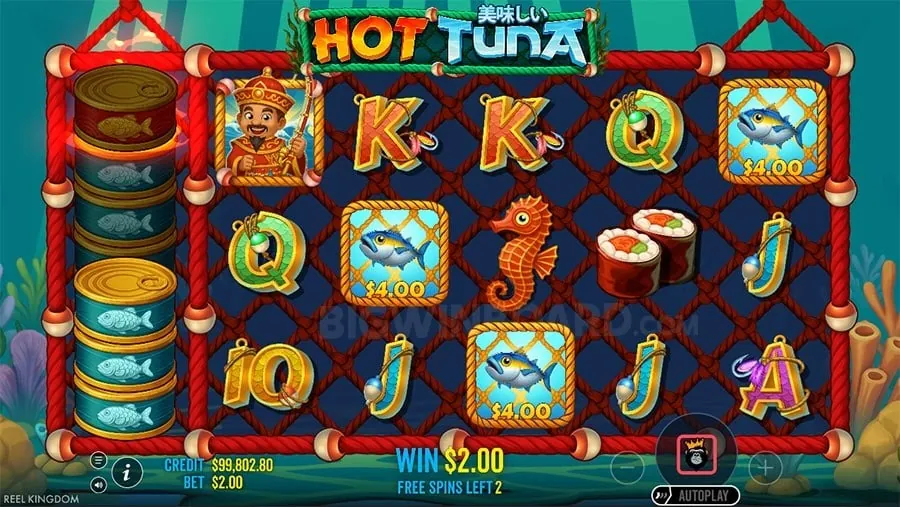 nustargame Responsible Gaming Policy